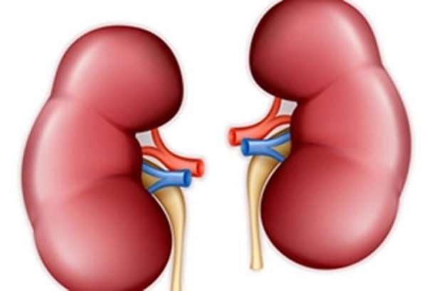 بیماری کلیوی در مردان کُشنده تر است