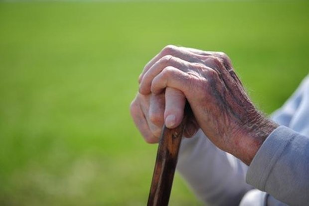 پیش بینی افزایش ۱۰درصدی سالمندان مبتلا به آلزایمر در کشور