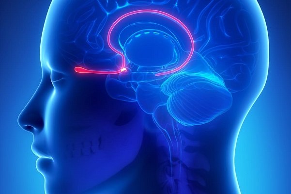 درمان پارکینسون و تشنج‌ها با قرار دادن الکترود در مغز