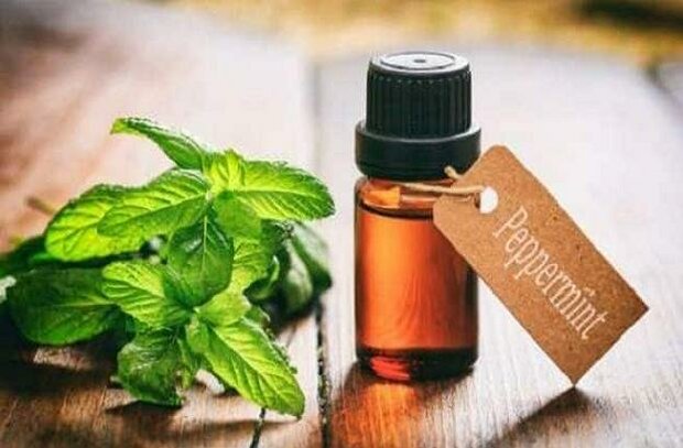 روغن نعناع به تسکین مشکل بلع کمک می کند